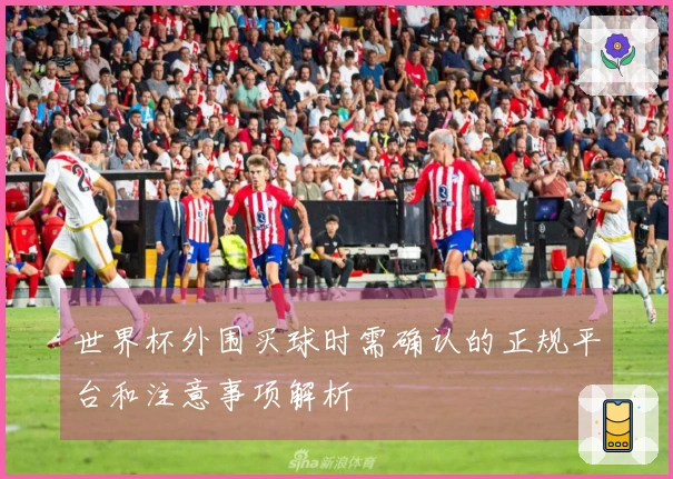 世界杯外围买球时需确认的正规平台和注意事项解析